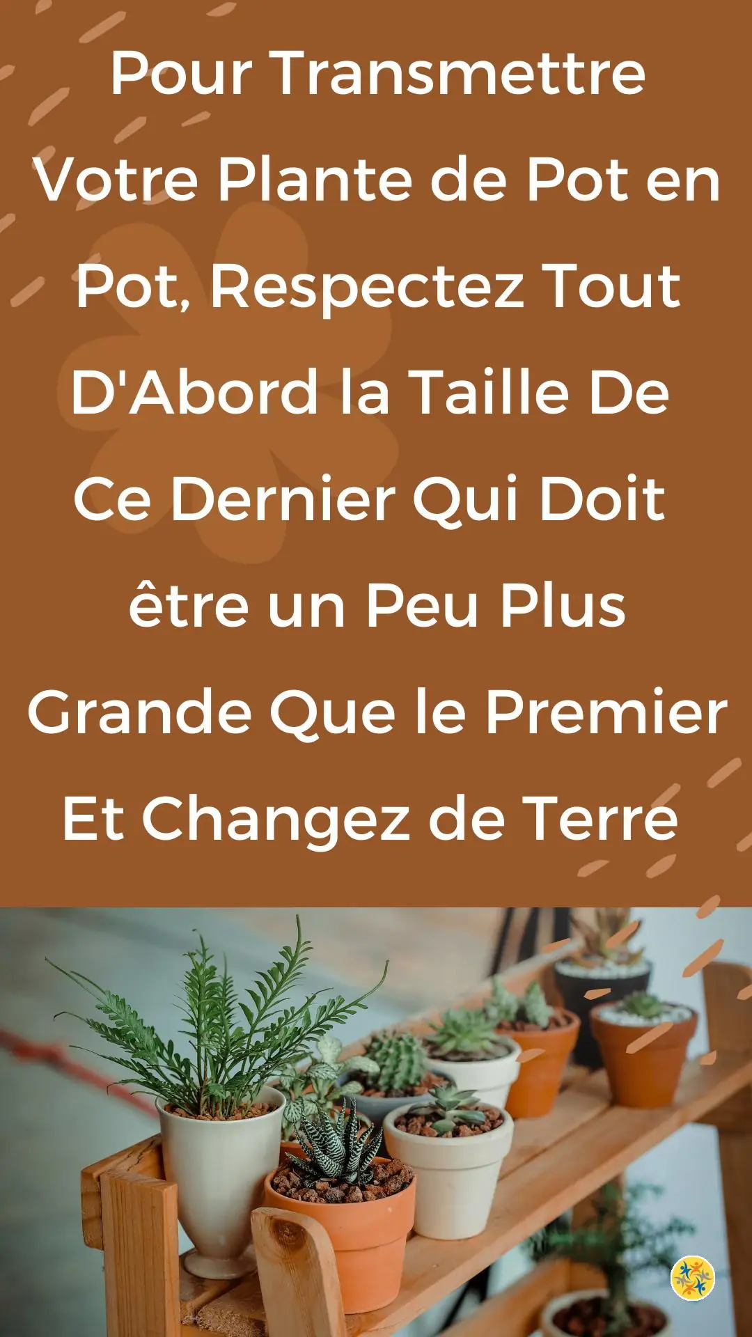 Réussissez votre Rempotage en respectant 3 Critères Primordiaux 10 Conditions du milieu favorable d'un végétal suite au rempotage