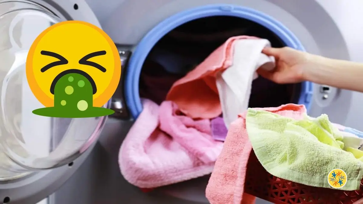 Dites Adieu aux Mauvaises Odeurs sur Votre Linge avec 4 Solutions Pratiques