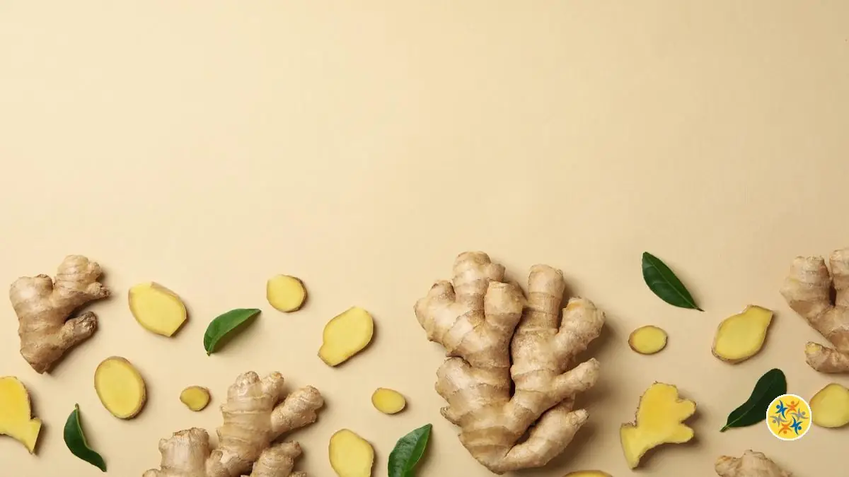 Gingembre Frais 4 Conseils de Conservation et d