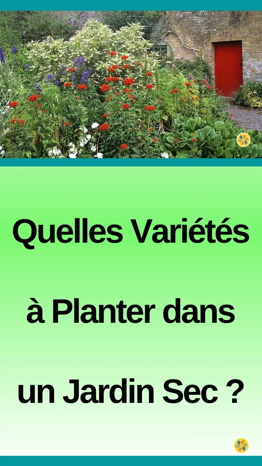 Plantes résistantes à la sécheresse 