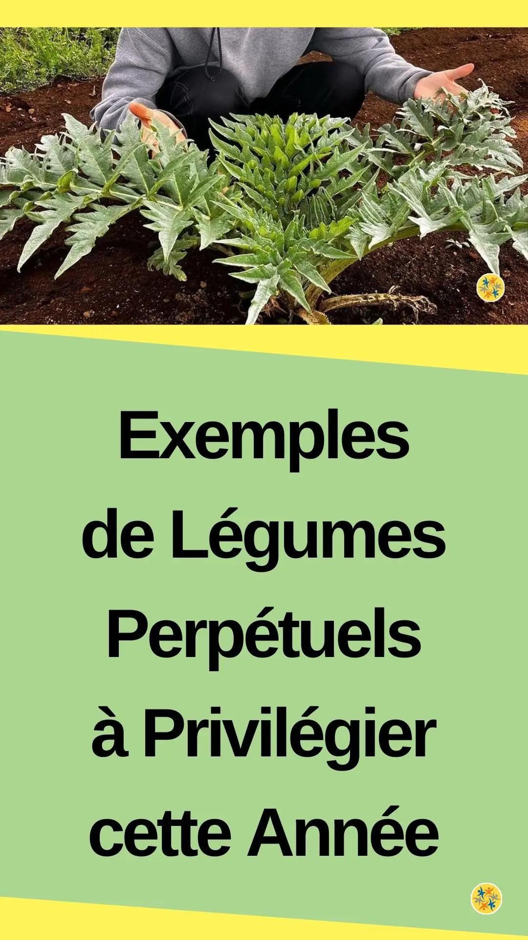 Culture de quelques variétés perpétuelles en hiver 