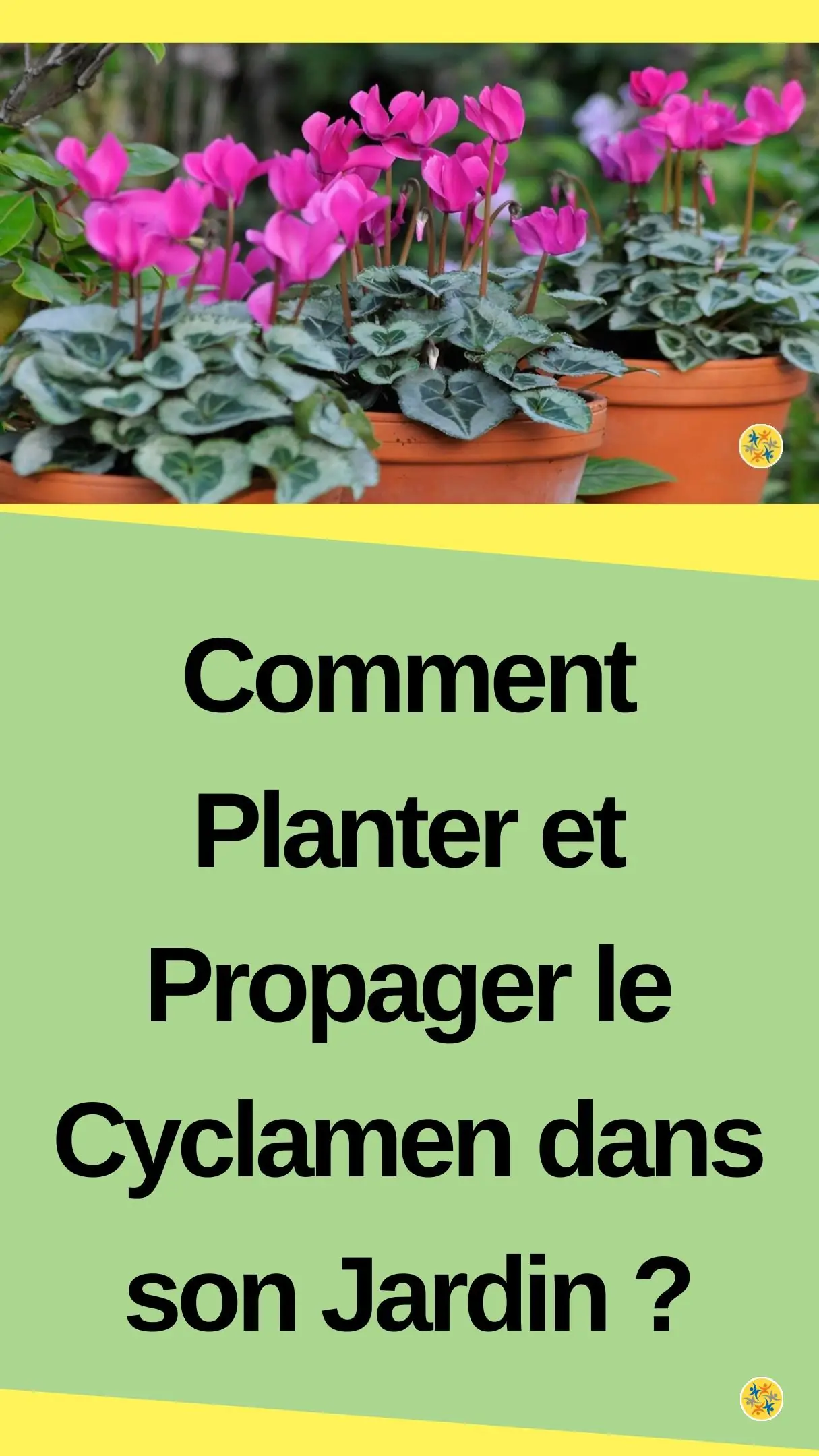 Toutes les règles à suivre pour cultiver le pain de senteur 