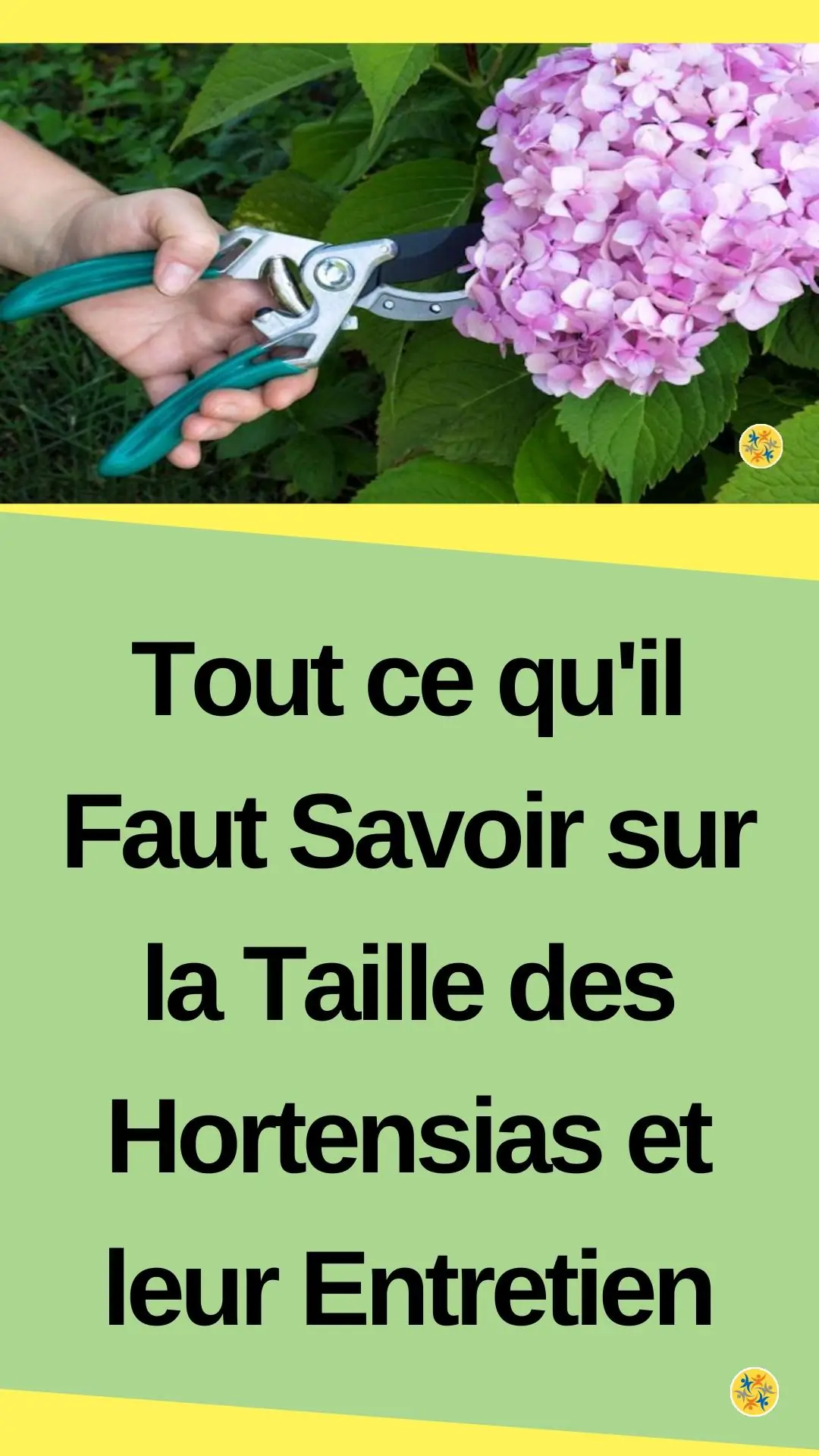 Apporter quelques soins à ses fleurs estivales 