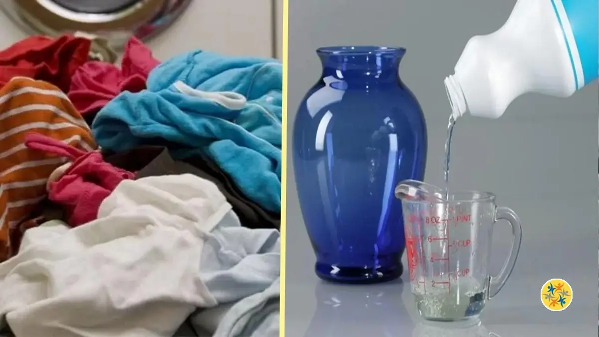 2 Conseils Pour Bien Utiliser l’Eau de Javel en Lavage à la Machine ou à la Main