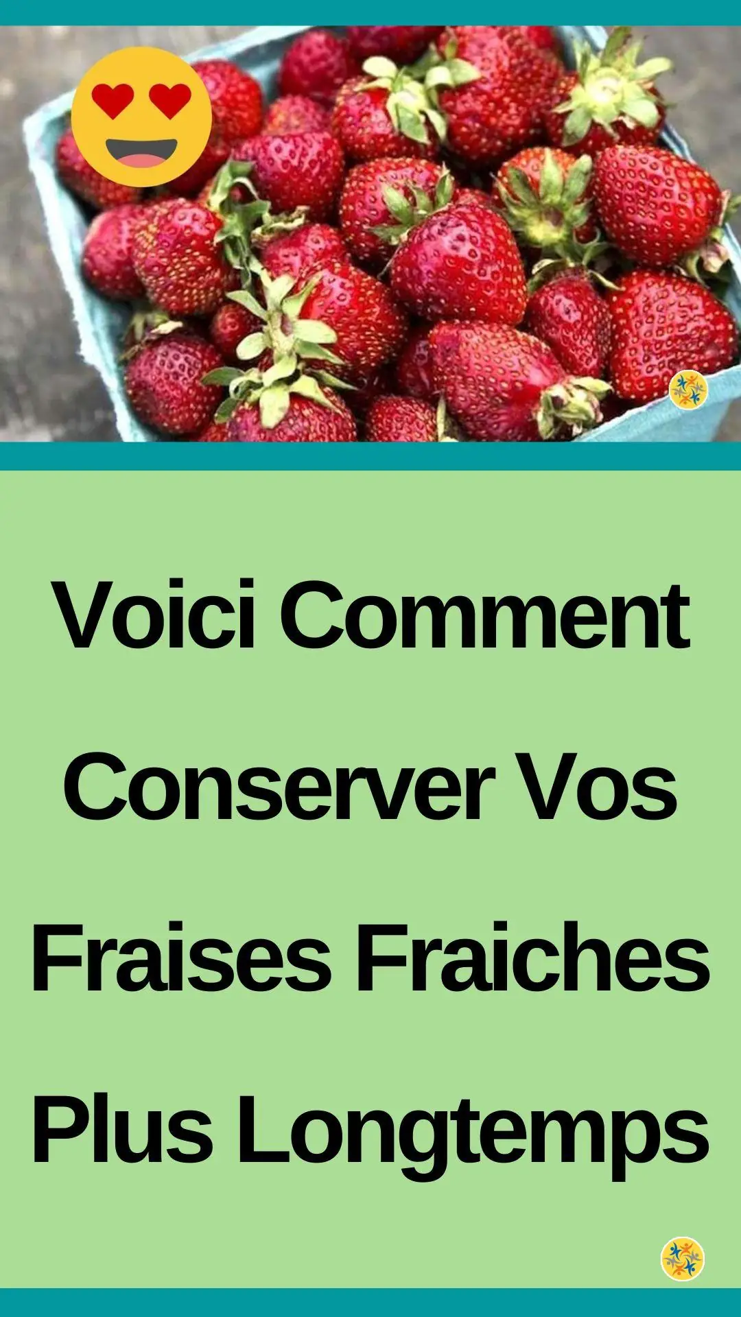 Astuces pour conserver les fraises plus longtemps 