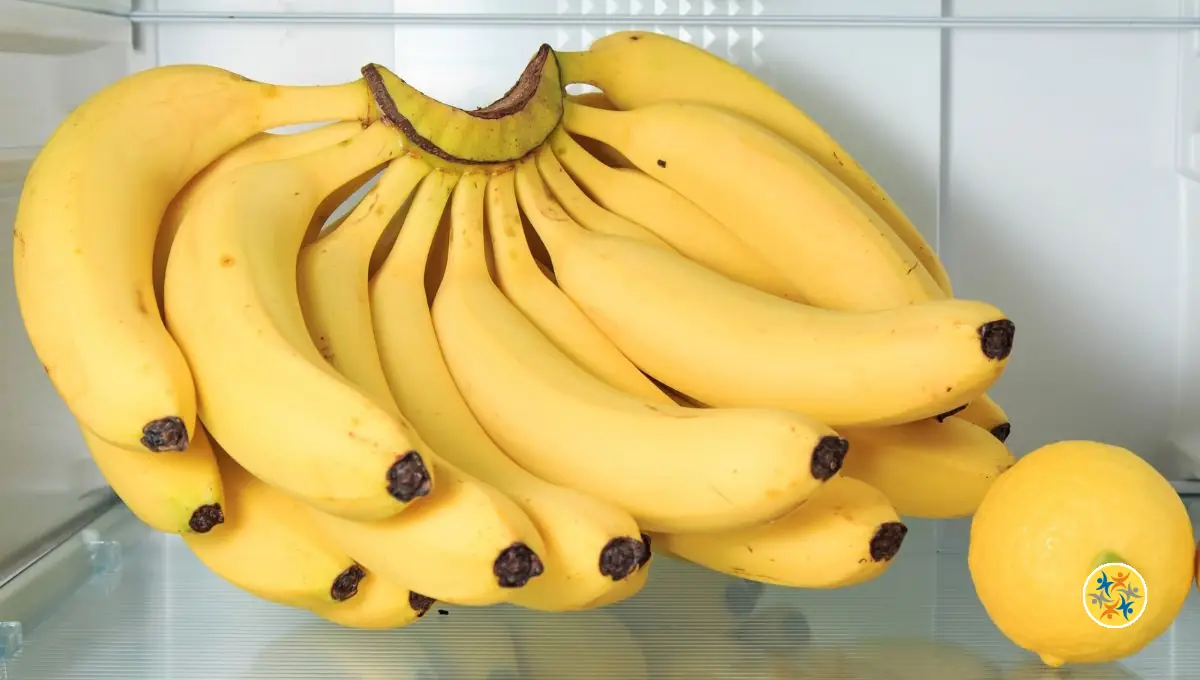 Astuces pour Retarder le Mûrissement des Bananes