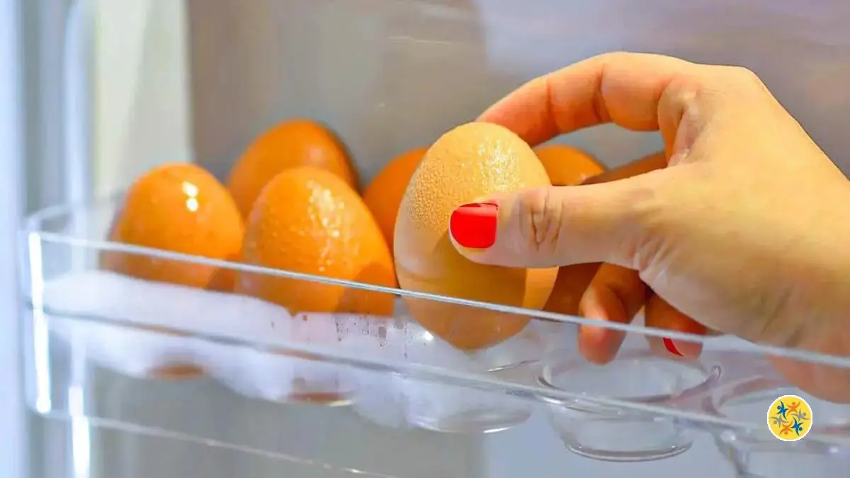 Ne Mettez plus Jamais les Œufs au Frigo pour les Conserver