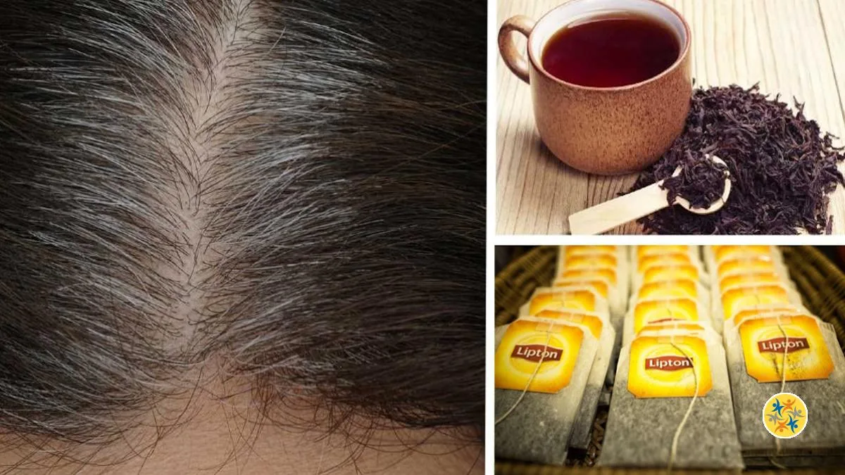 Recette Maison Pour Couvrir Les Cheveux Blancs