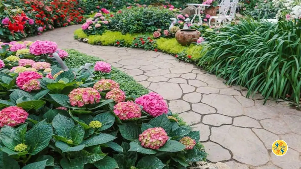 Comment créer une bordure dans son jardin avec ces plantes?