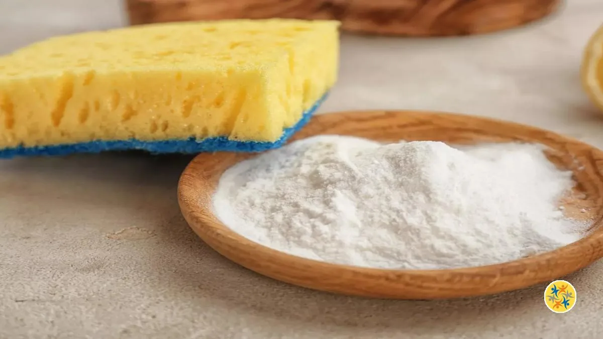 Crème à Récurer Orlav - Flacon 1 Litre - Neuf - Pour Surfaces Difficiles