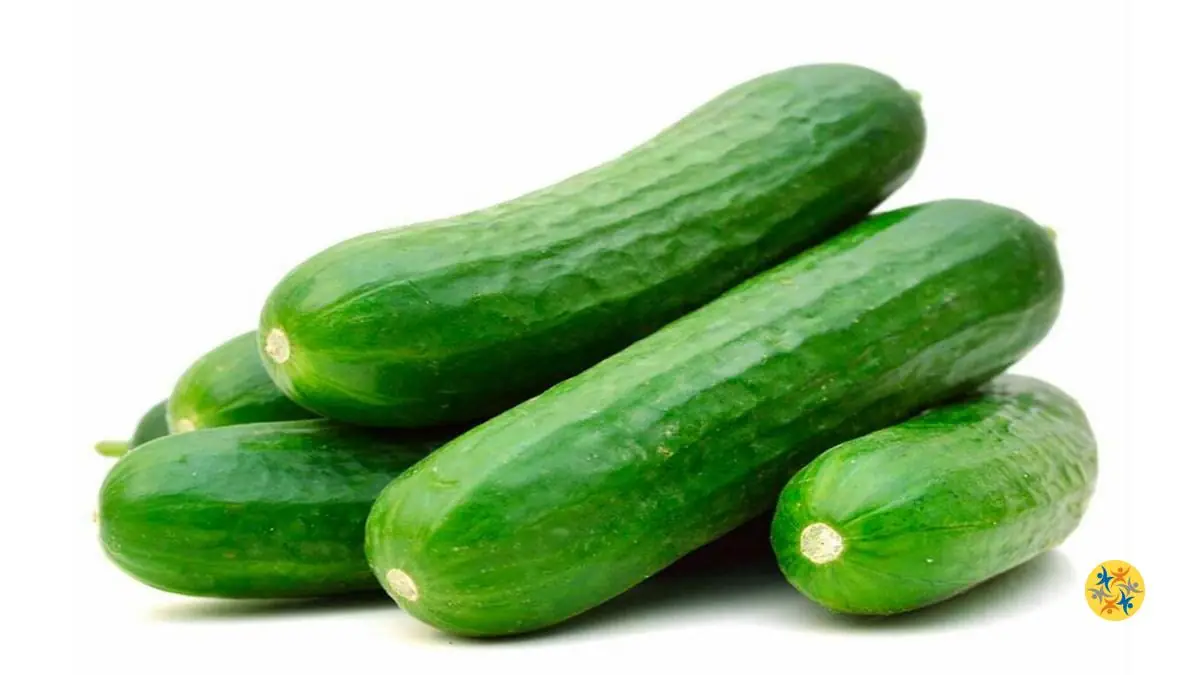 Chassez ces Parasites de chez Vous avec 6 Solutions 49 Astuce avec le concombre pour éloigner les insectes