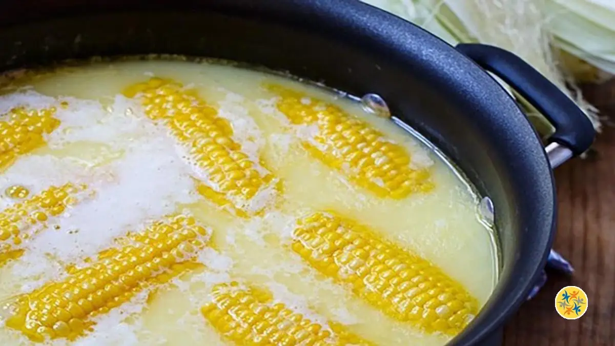 Découvrez l’astuce pour un maïs parfaitement cuit et savoureux