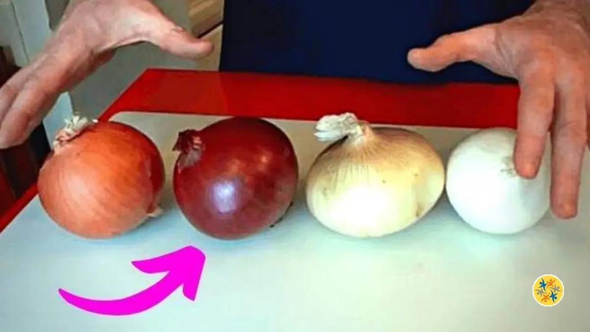 Mode de Cuisson des Oignons en fonction de leurs 3 Couleurs