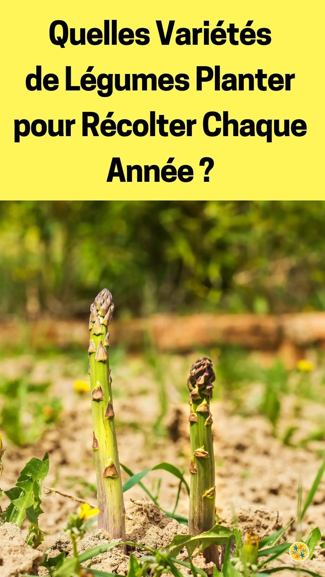 Les légumes capables de repousser chaque année
