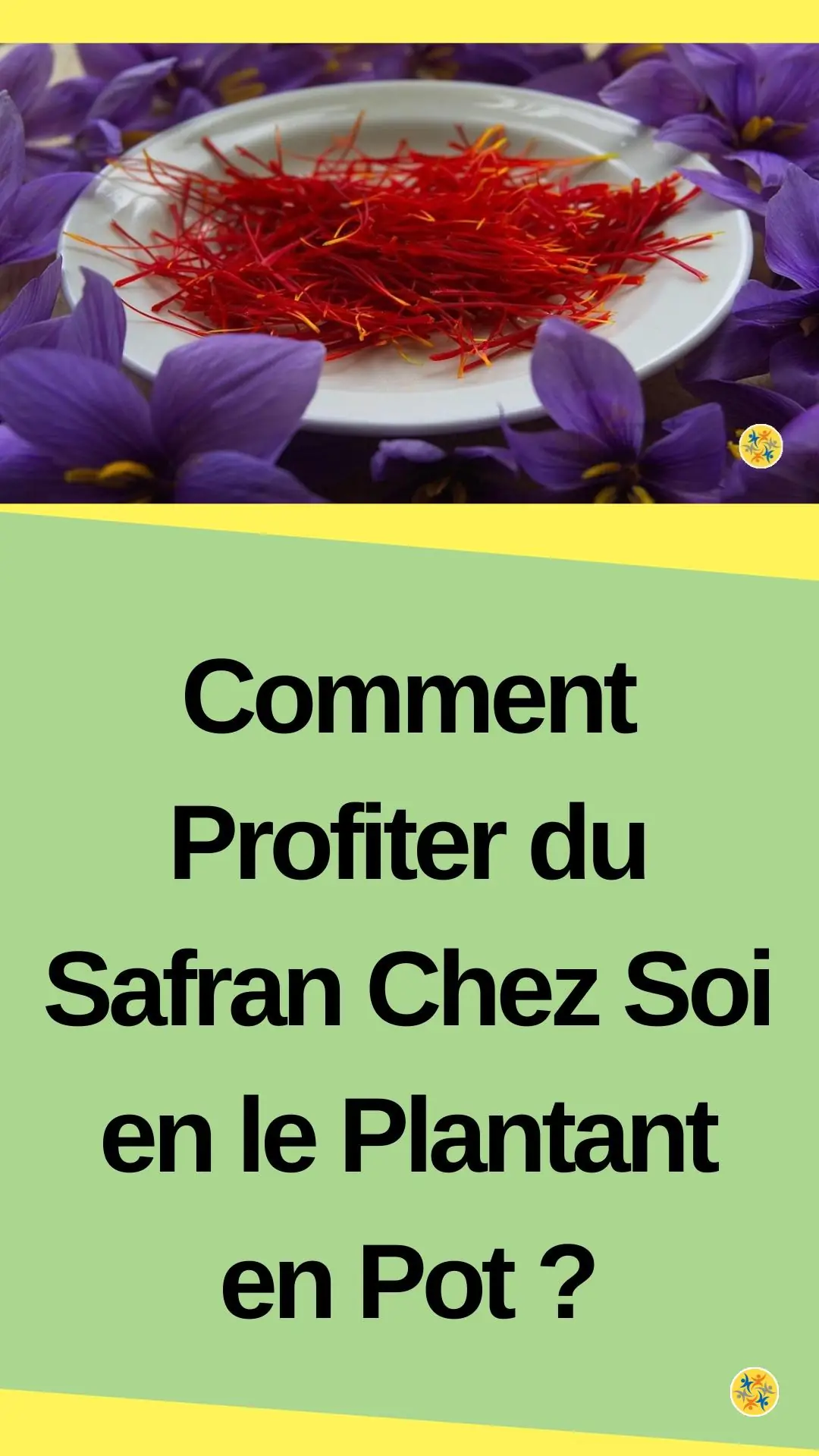 Le guide pour cultiver en pot de l'or rouge 