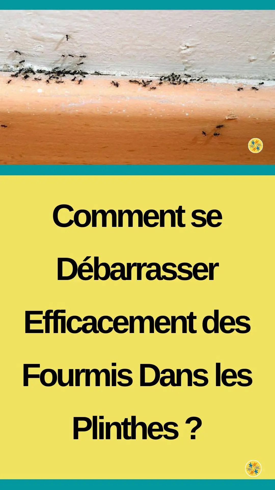 Astuces pour éliminer les fourmis dans les plinthes