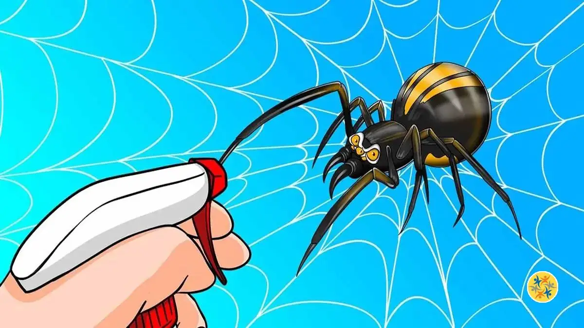 Se Débarrasser des Toiles d'Araignées et Prévenir leur Apparition