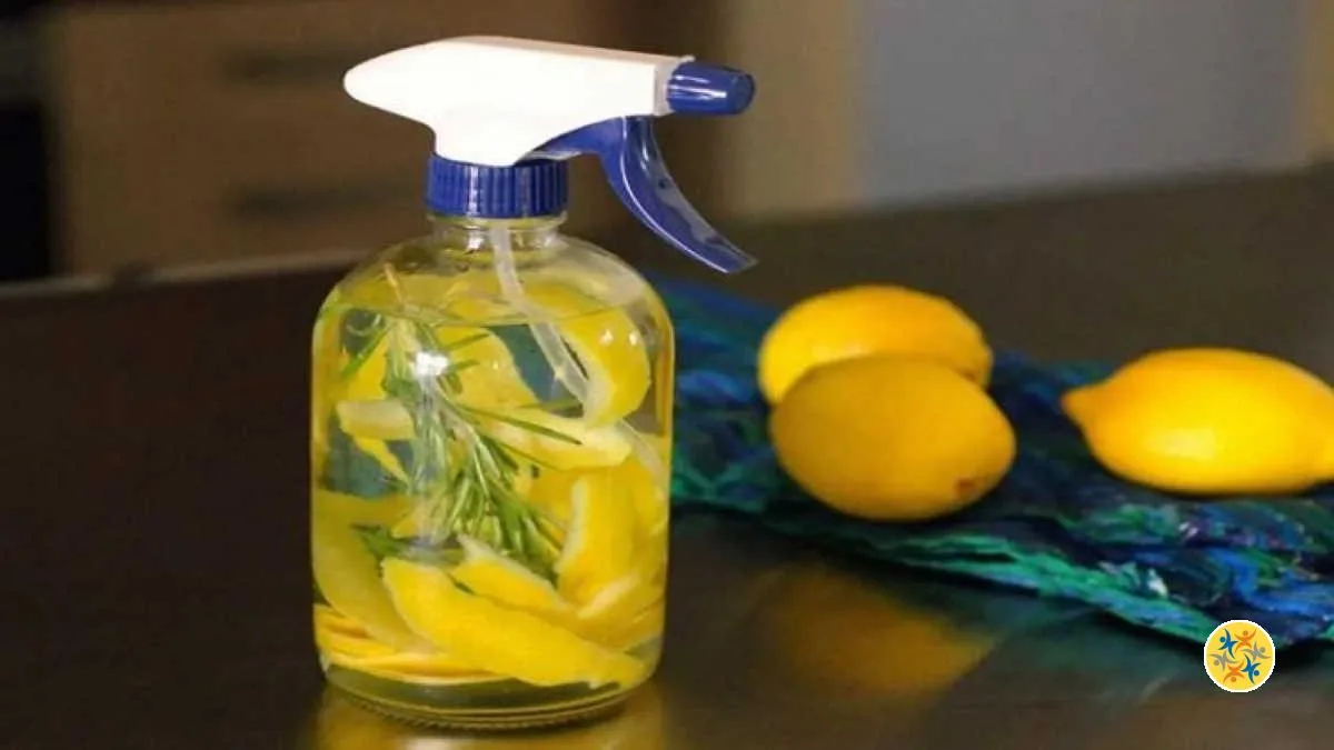 Comment Faire Un Déodorant Maison Avec Du Citron