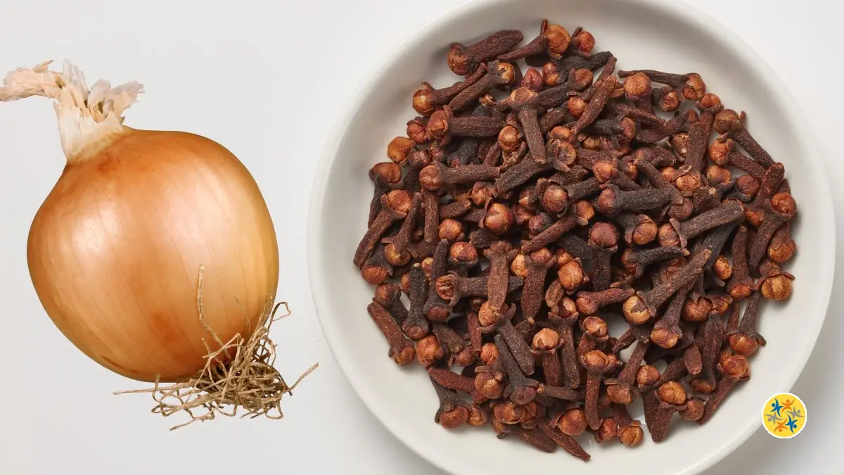 Moustiques, mouches, mauvaises odeurs : éliminez-les avec un simple oignon