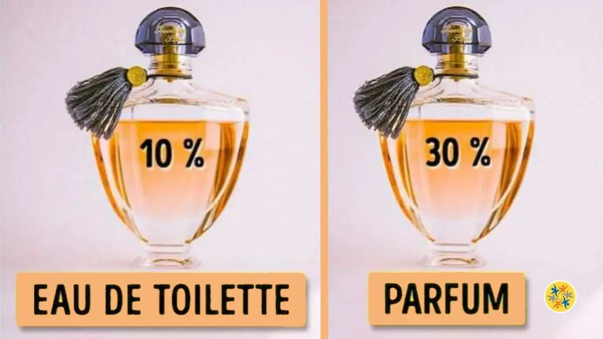 Eau de Toilette, Eau de Parfum, Eau de Cologne et Parfum Quelle