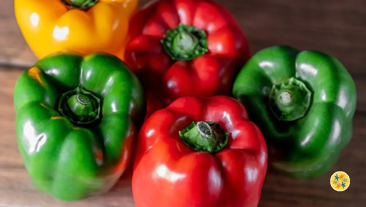 Différence Entre un Poivron Rouge, Vert et Jaune