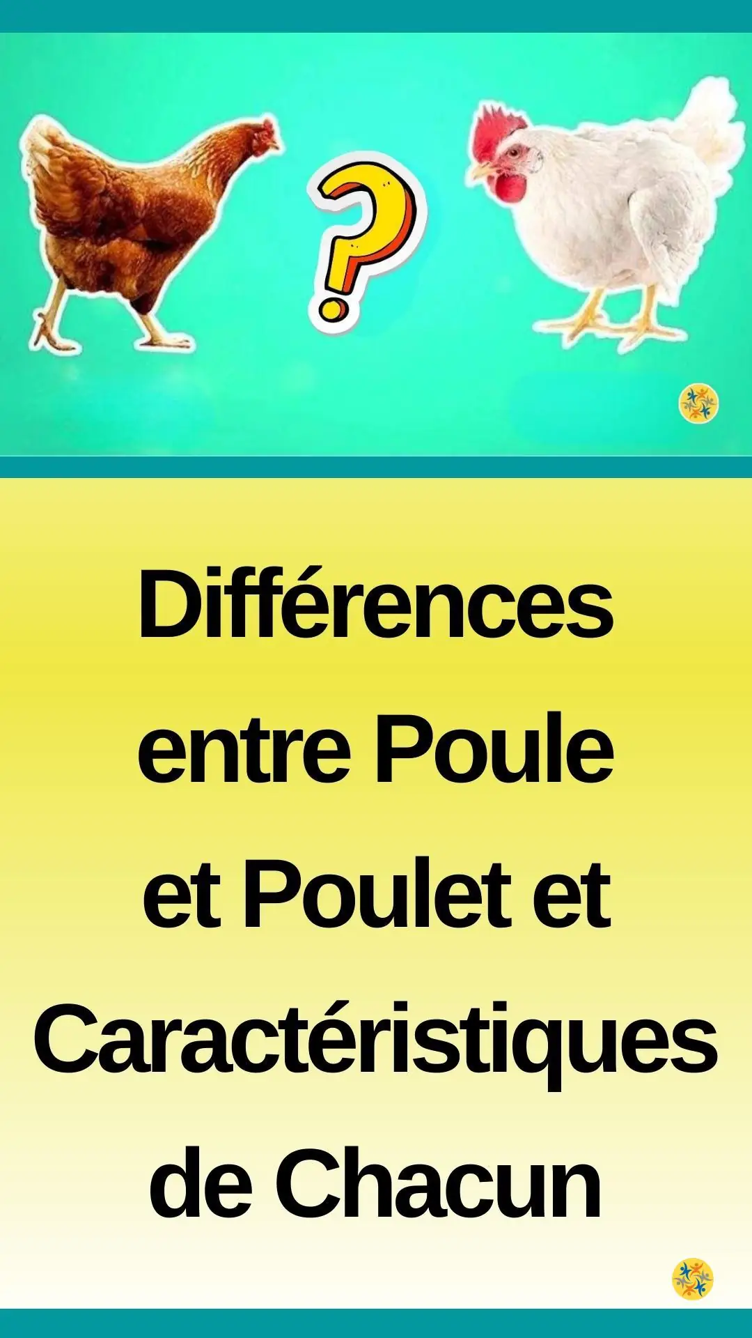 Comparer deux mots dans la famille des volailles 