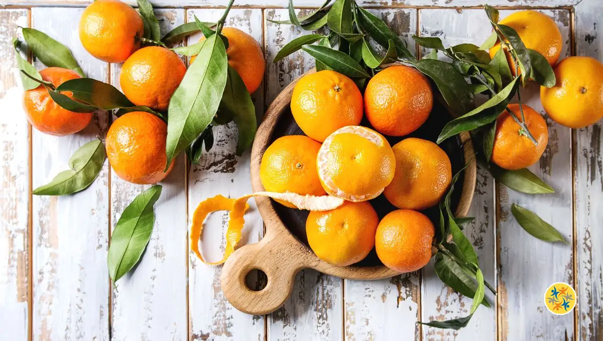 Comment Différencier l’Orange, la Mandarine et la Clémentine ?