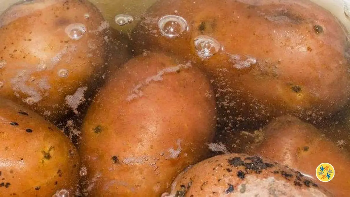 4 Utilisations de l’Eau de Cuisson des Pommes de Terre