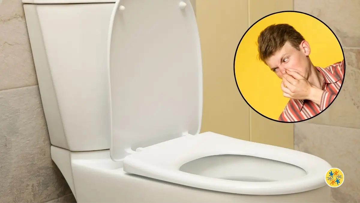 Toilettes Toujours Fraîches : La Recette Maison qui Neutralise Toutes les Odeurs