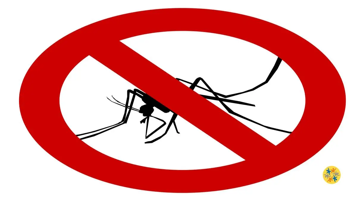 4 Trucs Pour Eliminer les Moucherons Dans la Cuisine et la Salle de Bain