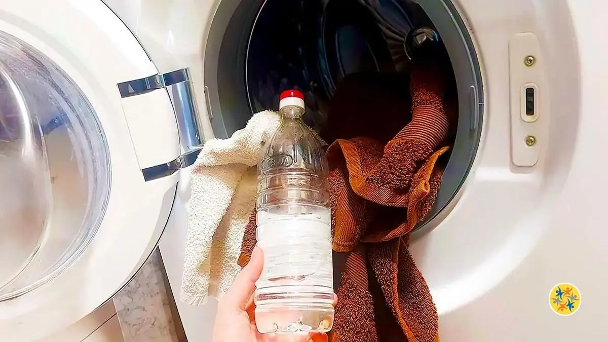 Éliminer Les Mauvaises Odeurs de Linge Grâce à Ces 5 Astuces