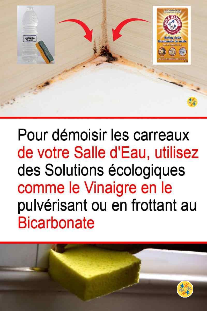 Mode d'usage du vinaigre et bicarbonate pour éliminer la moisissure