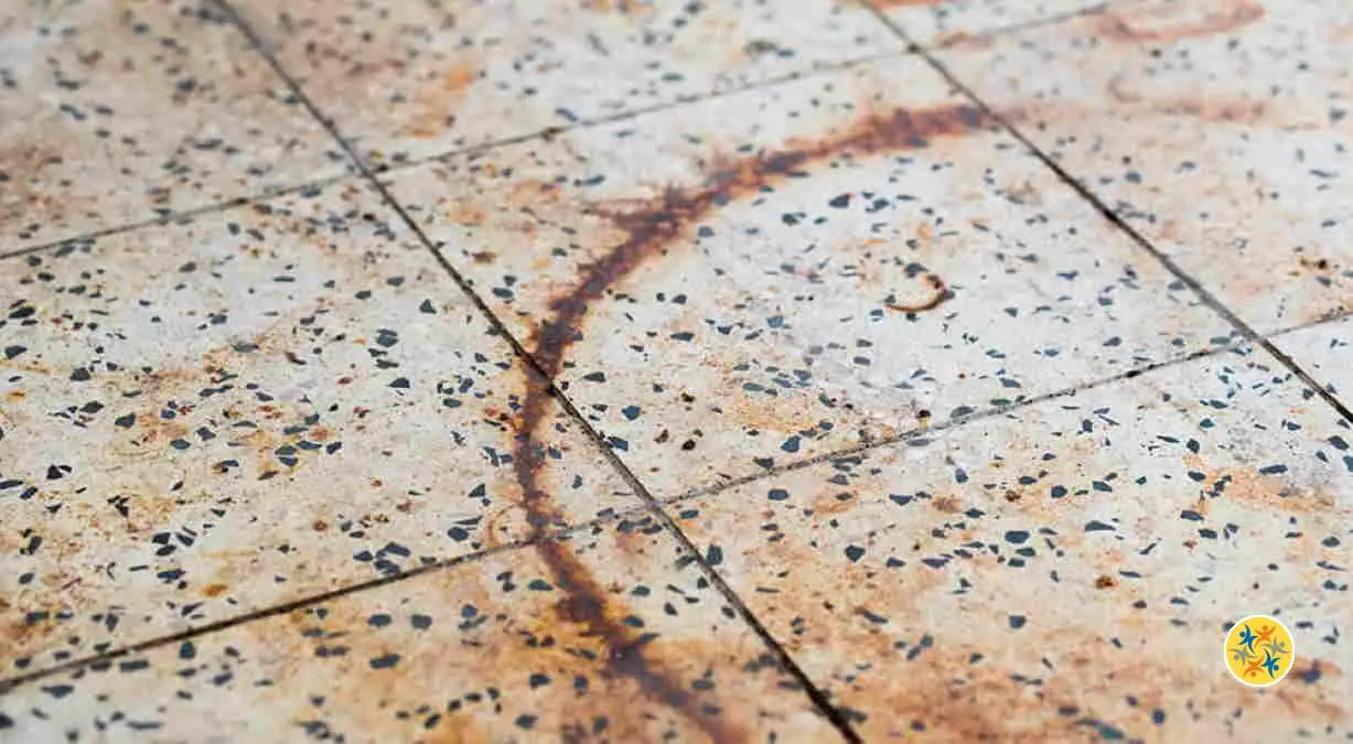 Spray Dissolvant De Rouille MELLERUD - Sans Acide, Pour Intérieur Et Extérieur, élimine Les Taches