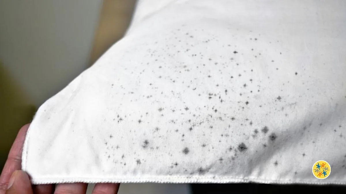 Débarrassez-vous de la Tache de Moisissure sur Votre Tissu Grâce à