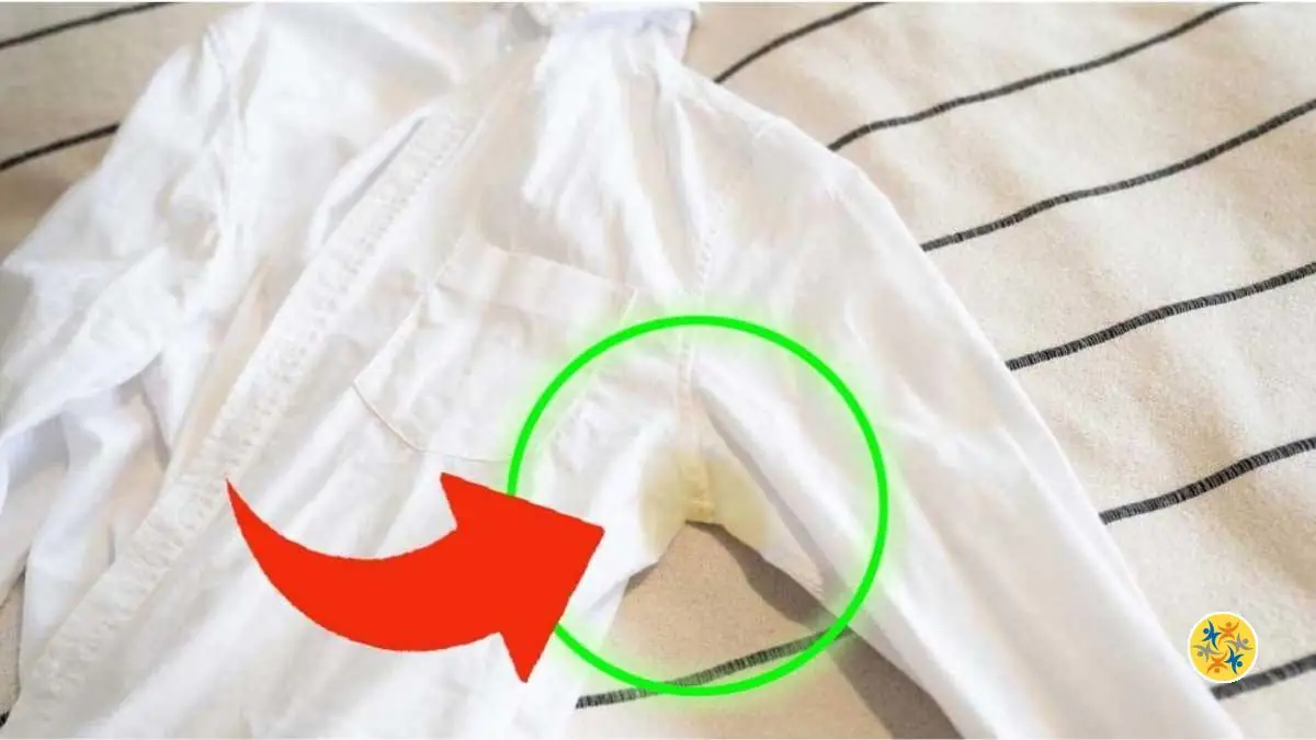 Eliminer les Taches Jaunes Sous les Aisselles des Chemises Blanches Avec 5 Astuces
