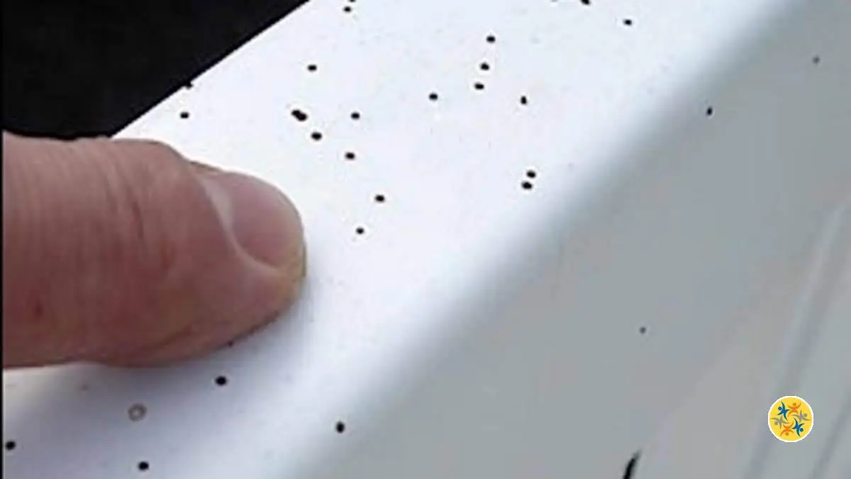 Astuce pour Enlever Facilement les Crottes de Mouches