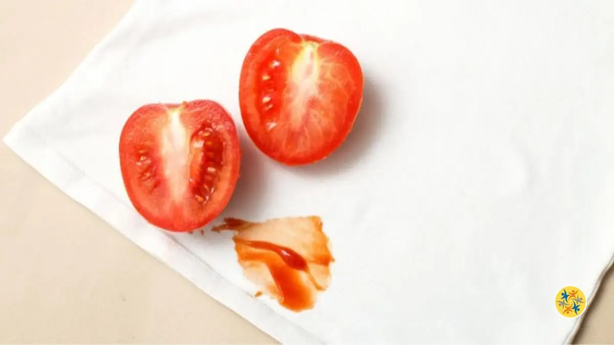 Enlevez Facilement la Tache de Sauce Tomate Avec Ces 6 Conseils Pratiques