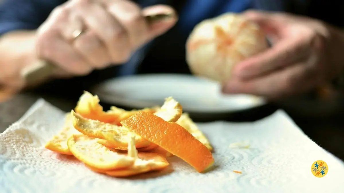Que Faire des Épluchures de Fruits dans le Jardin et au Quotidien?