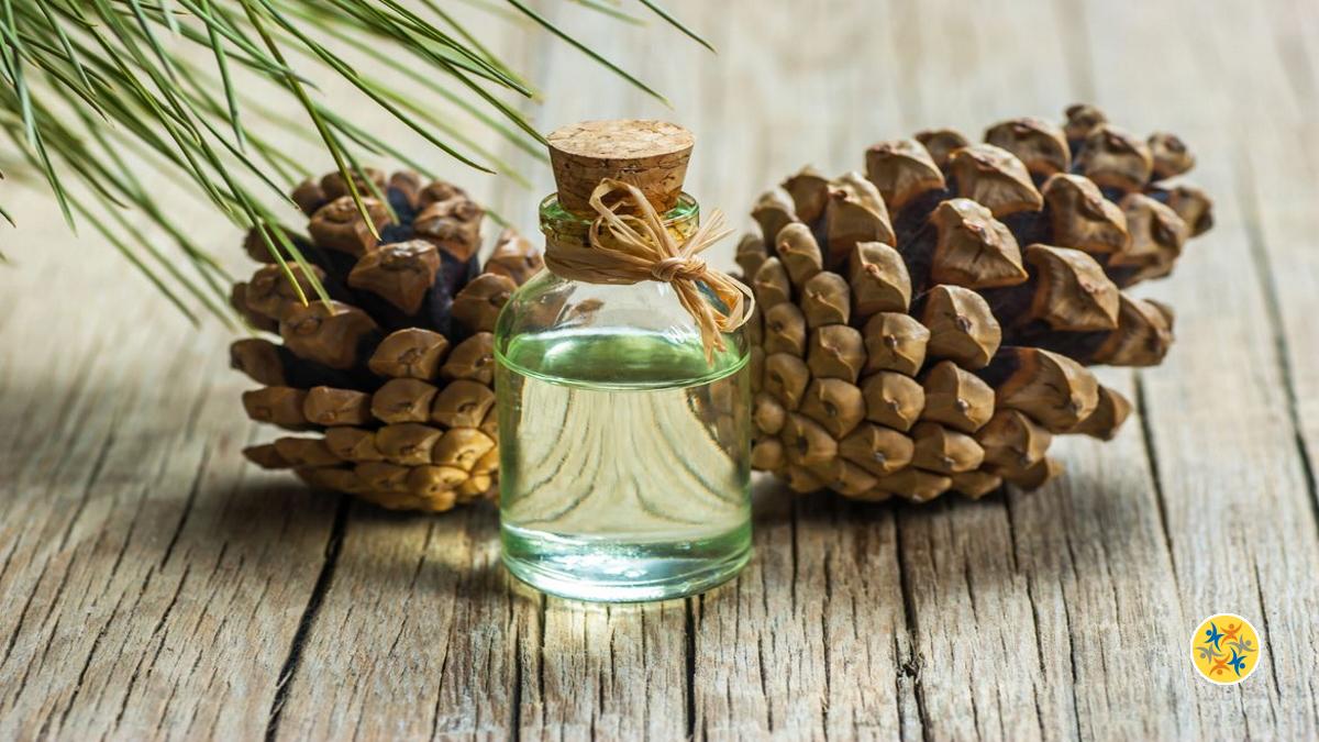 Effet de l'essence de térébenthine contre la poussière