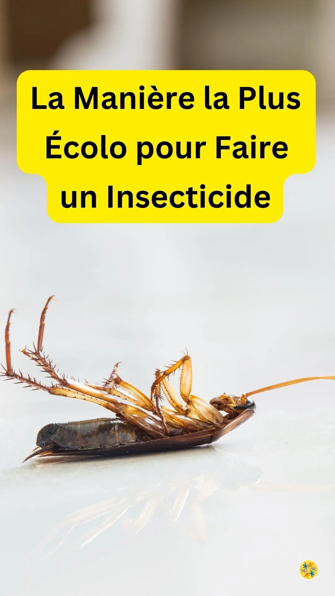 Fabrication rapide et peu connue d'un produit anti-insectes 