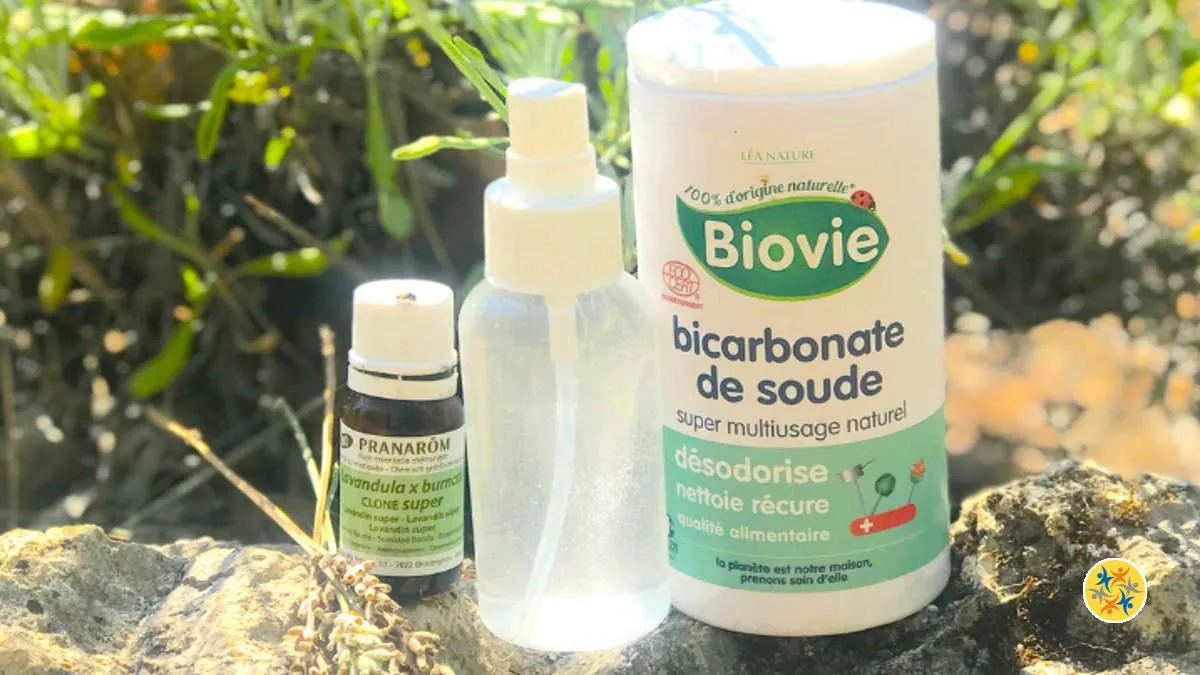 Comment Faire un Désodorisant Naturel et l’Appliquer à la Maison?