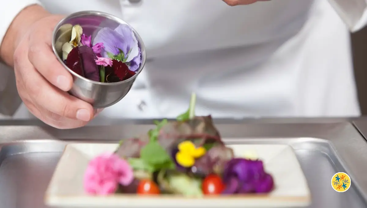 Les Fleurs Comestibles Les Plus Utilisées en Cuisine