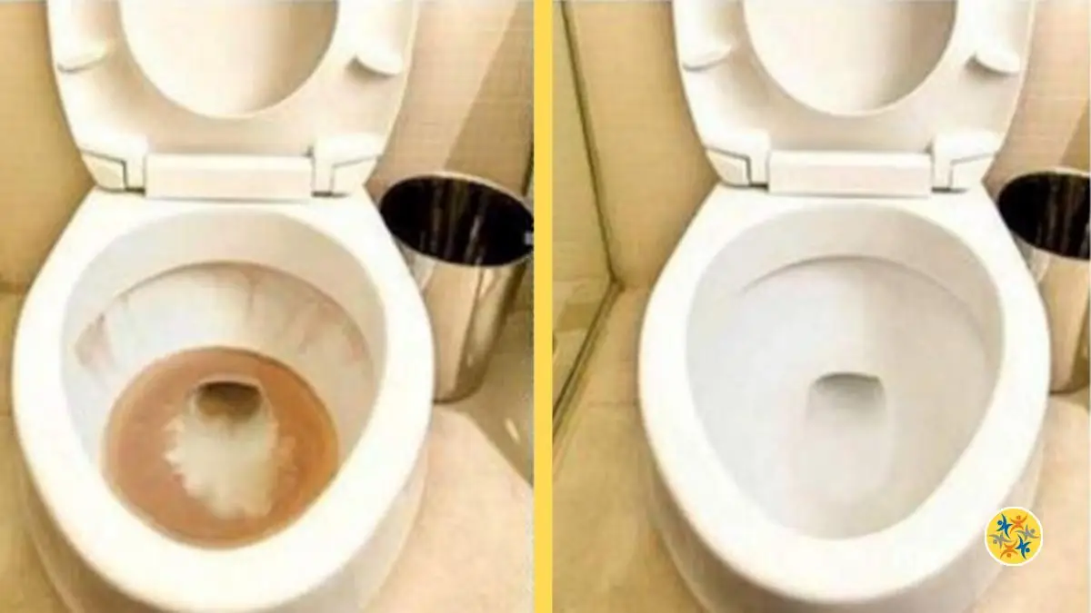 Nettoyer le Fond des Toilettes une Astuce pour Enlever les Taches Jaunes