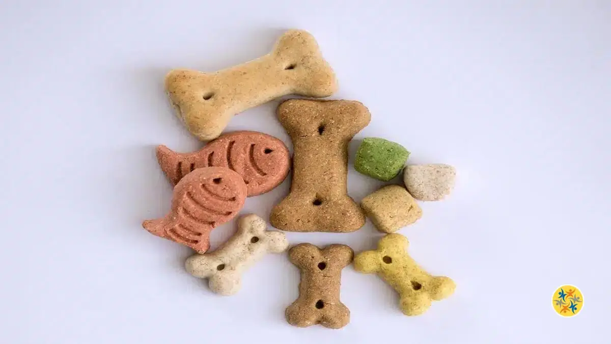 2 Recettes de Friandises Saines Pour Chiens et Chats pour les récompenser au naturel
