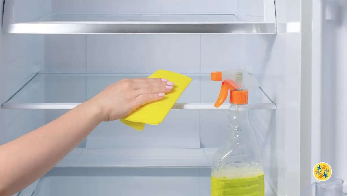 Fuite d’eau dans le Frigo : Que Faire ?