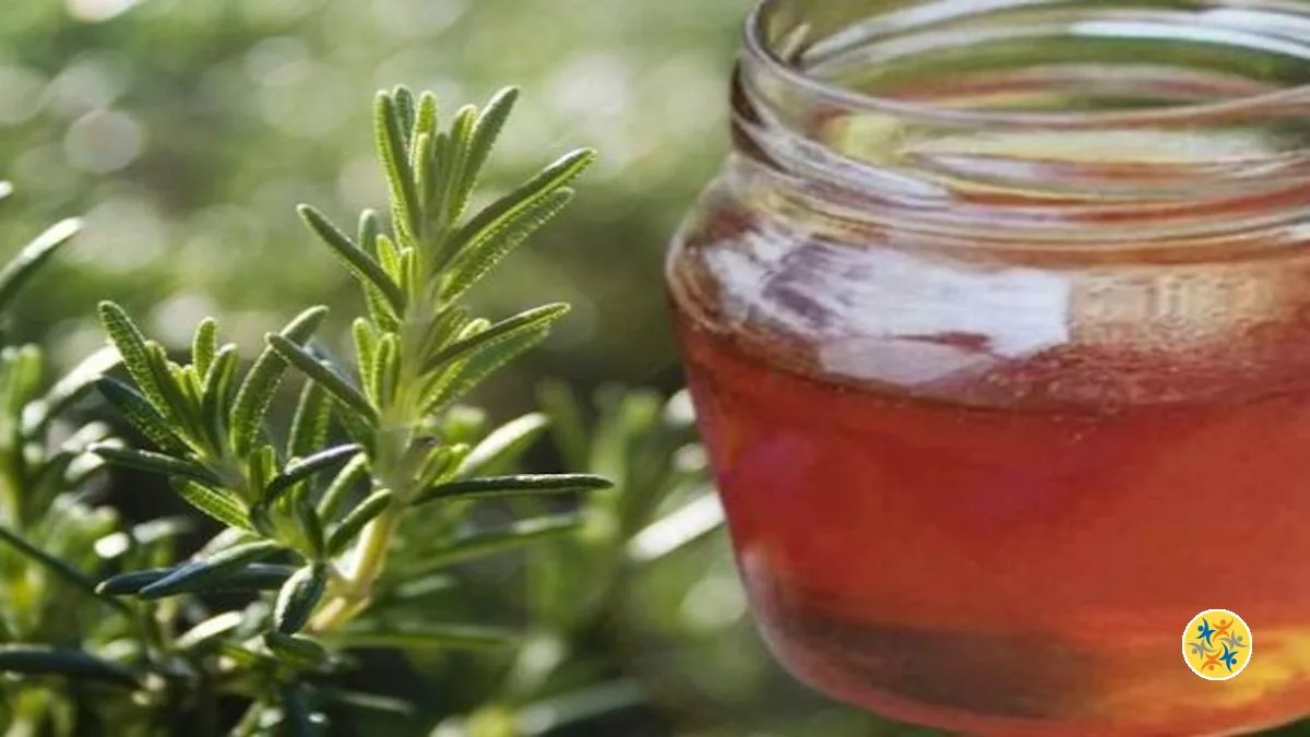 La Recette de Gelée de Romarin à Partir les Herbes du Jardin