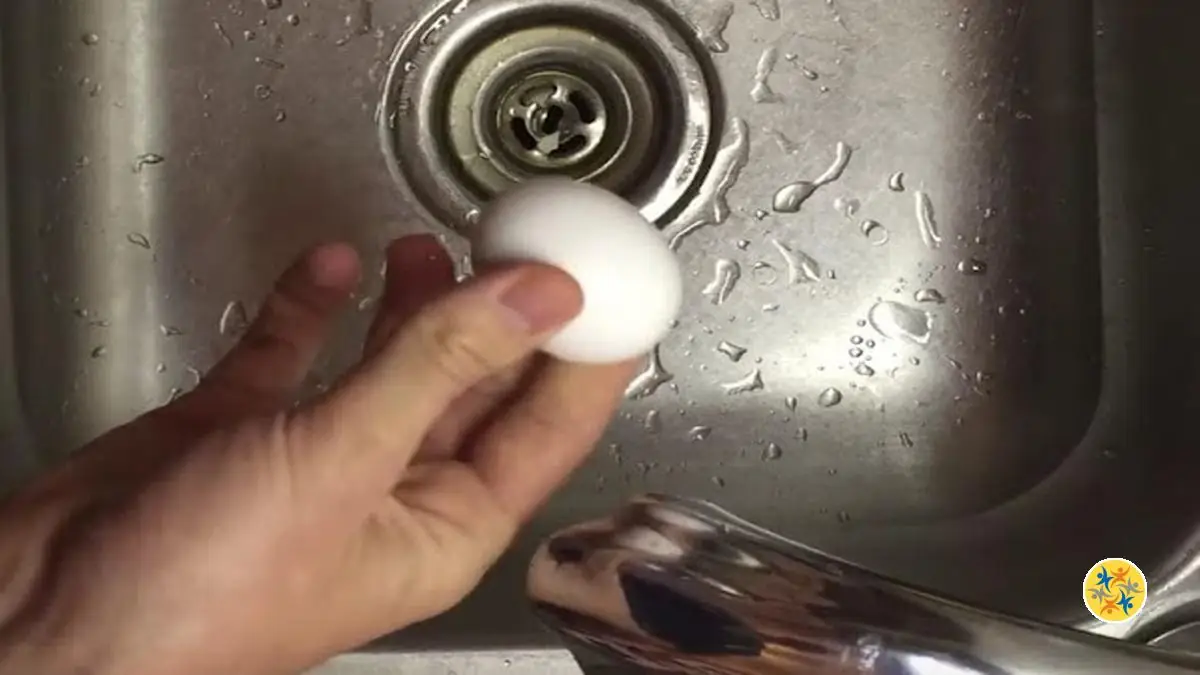 3 Gestes Rapides pour Enlever la Coquille d