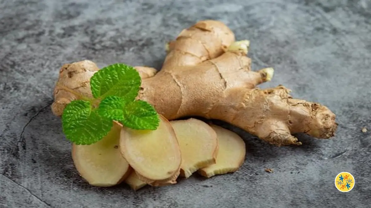 Bienfait Du Gingembre Sur La Peau