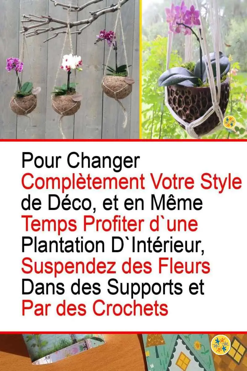 Profitez de votre Orchidée en en faisant 5 Belles Décorations 4 L'idée de suspension d'une orchidée pour décorer