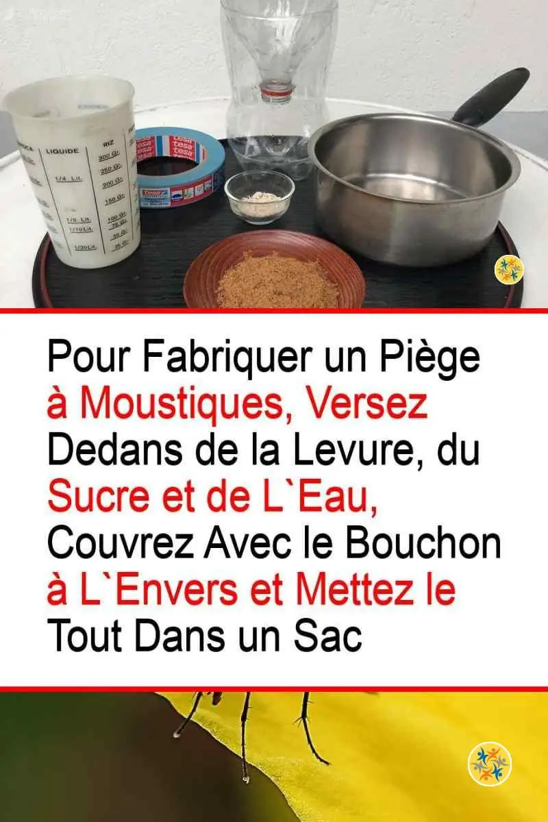 Piégez les Vilains Insectes grâce à cette Ruse et seulement 3 Eléments 6 Instructions de préparation d'un piège à insectes